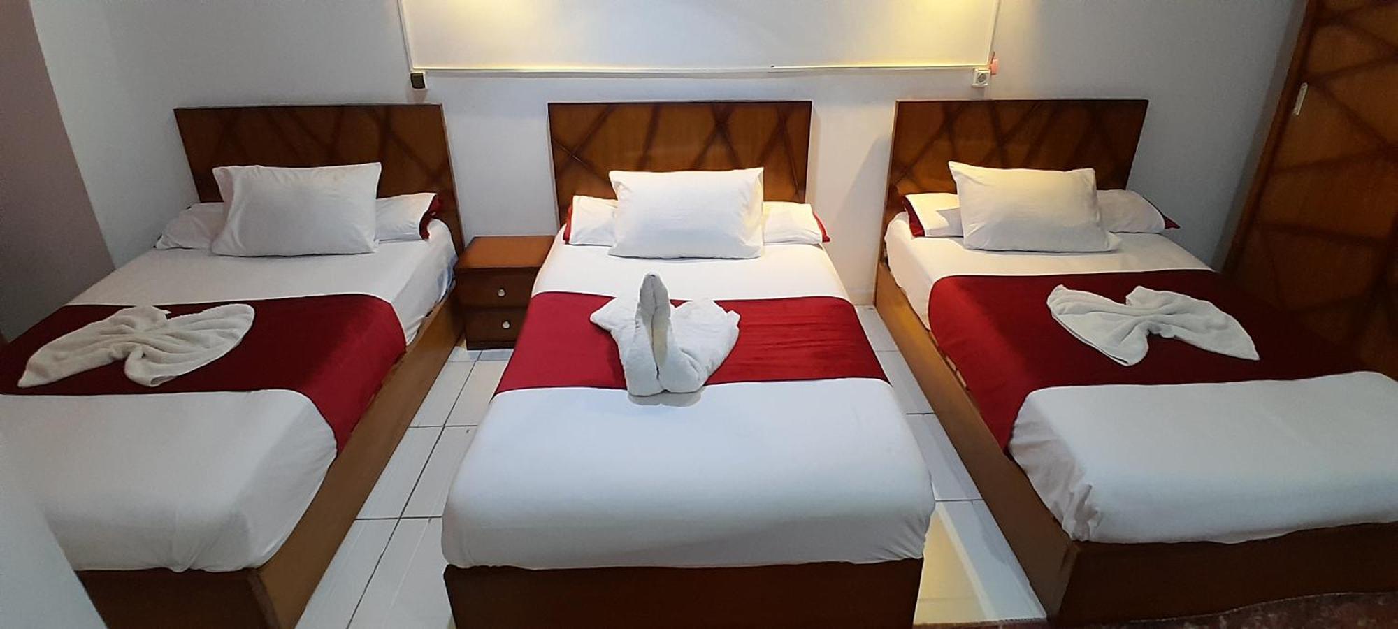 Alshawarbi Plaza Hotel Каїр Екстер'єр фото