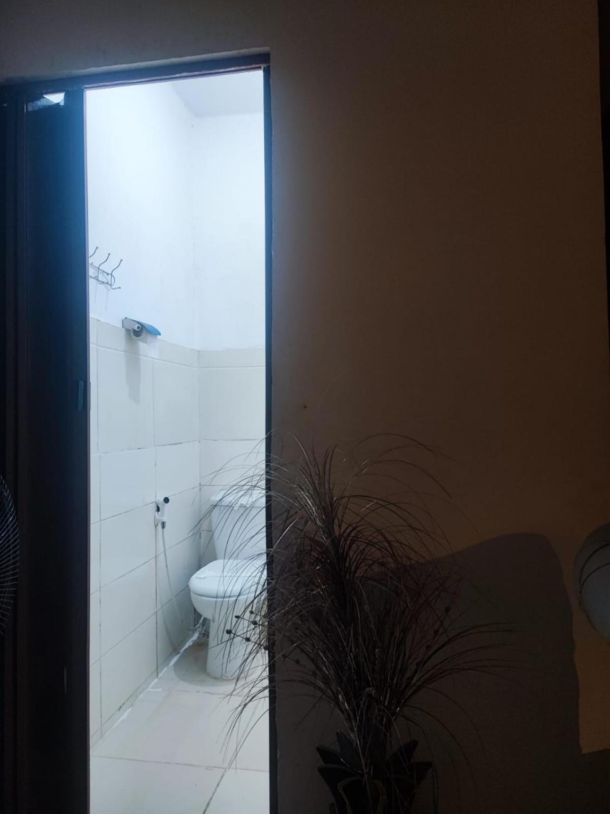 Alshawarbi Plaza Hotel Каїр Екстер'єр фото